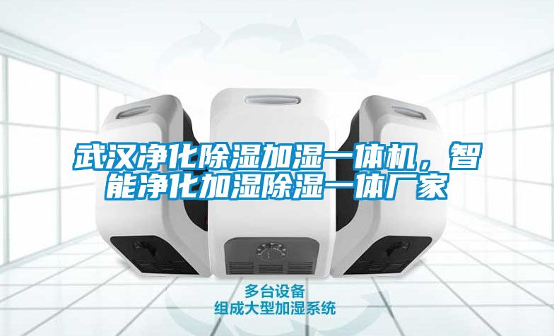 武漢凈化除濕加濕一體機(jī)，智能凈化加濕除濕一體廠家