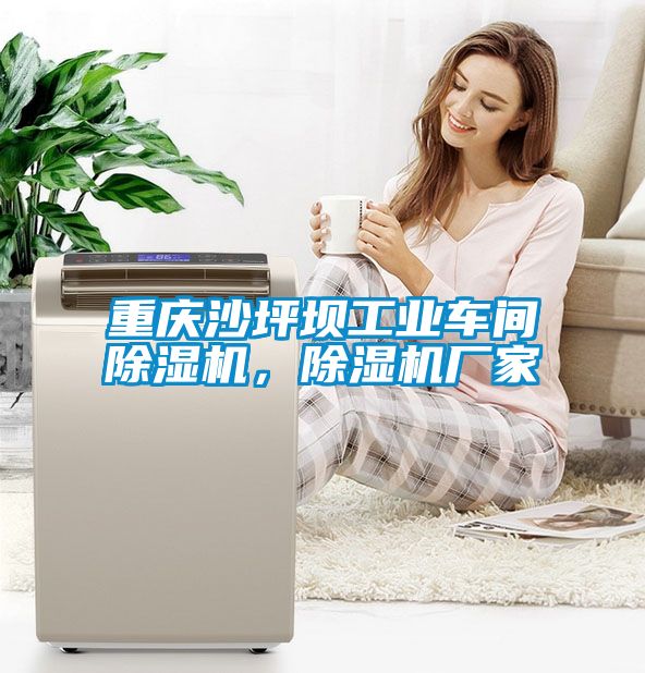 重慶沙坪壩工業(yè)車間除濕機(jī)，除濕機(jī)廠家
