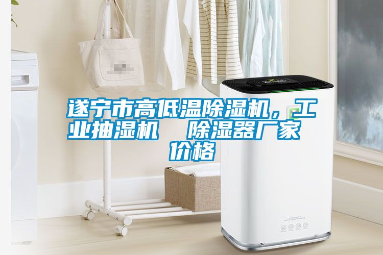 遂寧市高低溫除濕機，工業抽濕機  除濕器廠家 價格