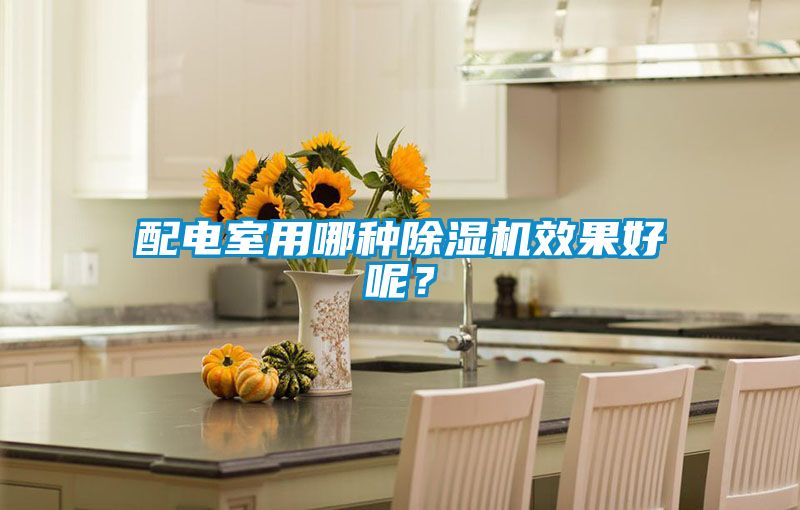 配電室用哪種除濕機效果好呢？
