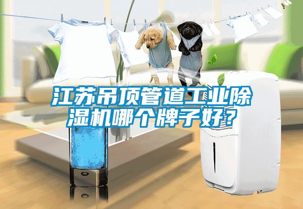 江蘇吊頂管道工業(yè)除濕機哪個牌子好？