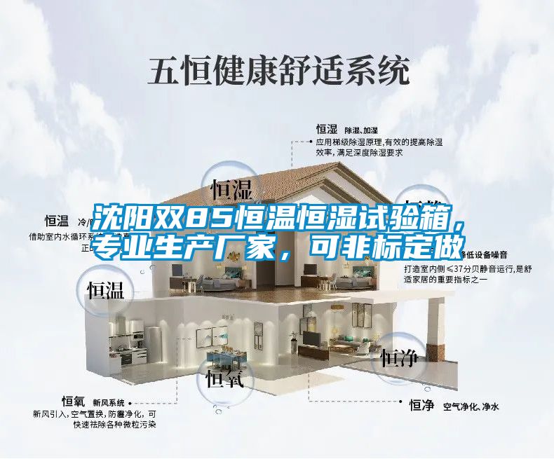 沈陽雙85恒溫恒濕試驗箱，專業(yè)生產(chǎn)廠家，可非標(biāo)定做