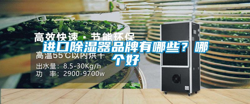 進口除濕器品牌有哪些？哪個好
