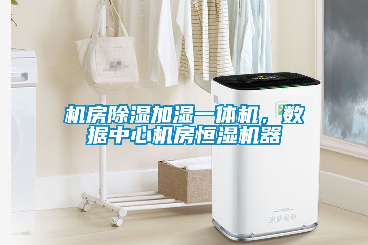 機房除濕加濕一體機，數(shù)據中心機房恒濕機器