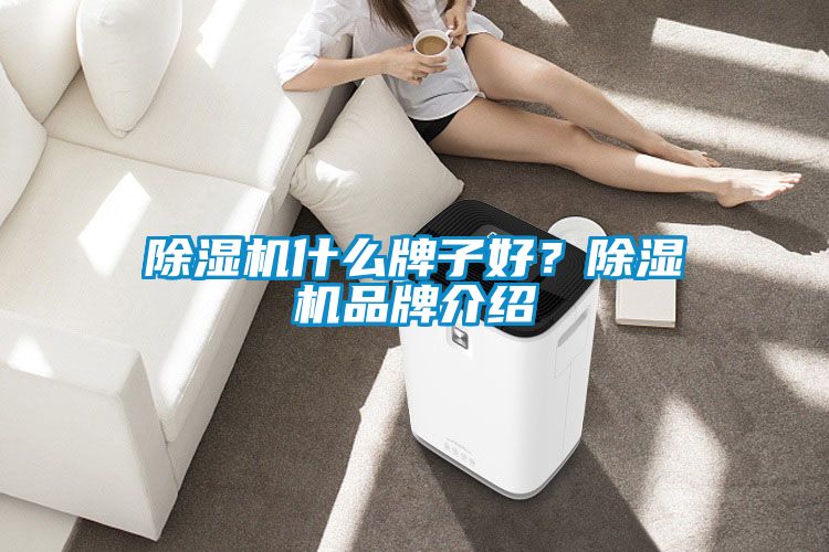 除濕機(jī)什么牌子好？除濕機(jī)品牌介紹
