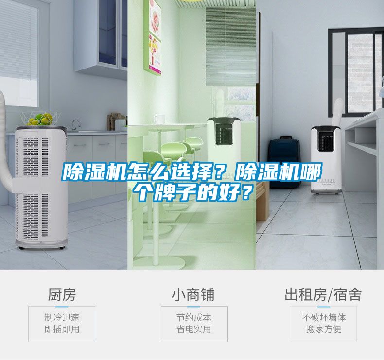 除濕機怎么選擇？除濕機哪個牌子的好？