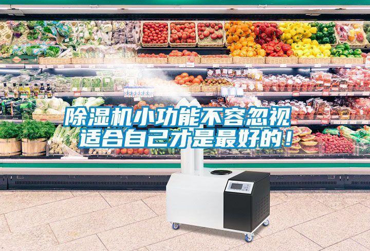 除濕機小功能不容忽視 適合自己才是最好的！