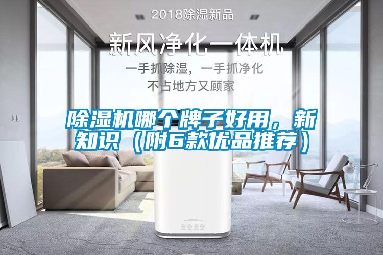 除濕機(jī)哪個(gè)牌子好用，新知識(shí)（附6款優(yōu)品推薦）