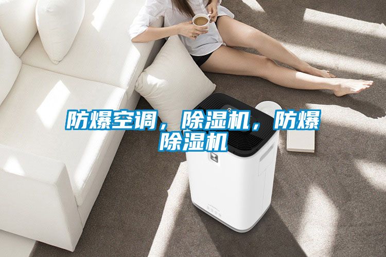防爆空調，除濕機，防爆除濕機