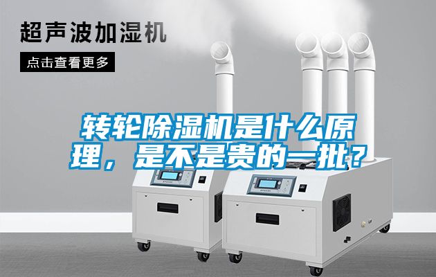 轉(zhuǎn)輪除濕機(jī)是什么原理，是不是貴的一批？
