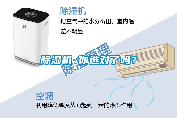 除濕機 你選對了嗎？