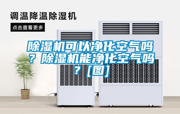 除濕機可以凈化空氣嗎？除濕機能凈化空氣嗎？[圖]