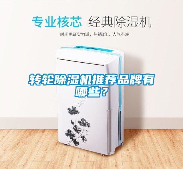 轉輪除濕機推薦品牌有哪些？