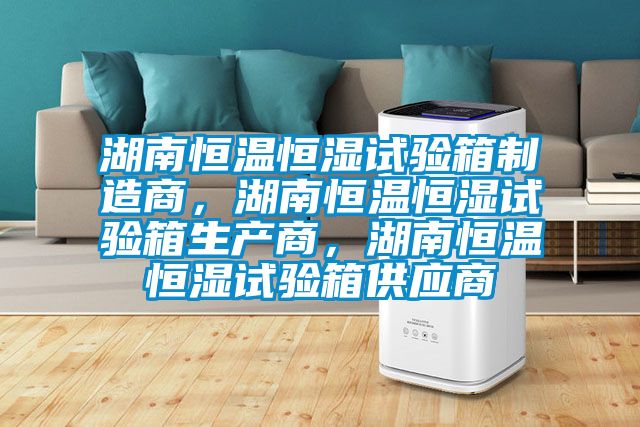 湖南恒溫恒濕試驗箱制造商，湖南恒溫恒濕試驗箱生產商，湖南恒溫恒濕試驗箱供應商