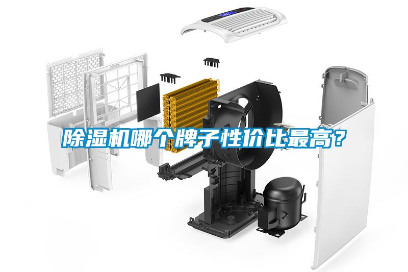除濕機(jī)哪個(gè)牌子性價(jià)比最高？