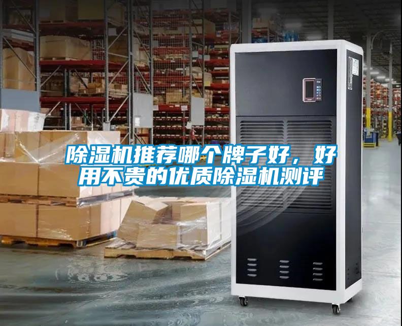 除濕機推薦哪個牌子好，好用不貴的優質除濕機測評