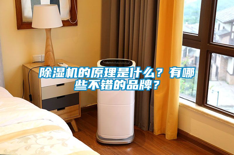 除濕機的原理是什么？有哪些不錯的品牌？