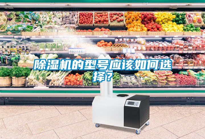 除濕機的型號應該如何選擇？