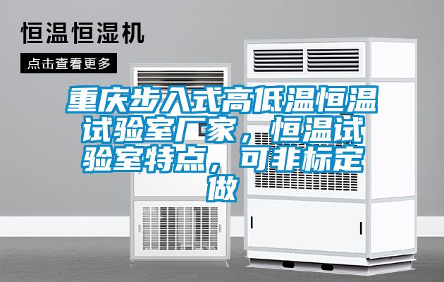 重慶步入式高低溫恒溫試驗室廠家，恒溫試驗室特點，可非標定做