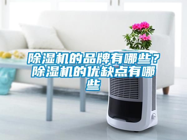 除濕機的品牌有哪些？除濕機的優缺點有哪些