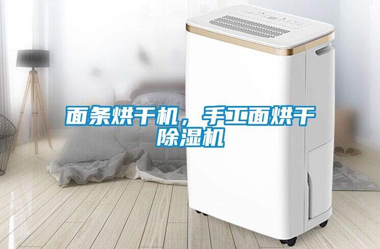 面條烘干機，手工面烘干除濕機