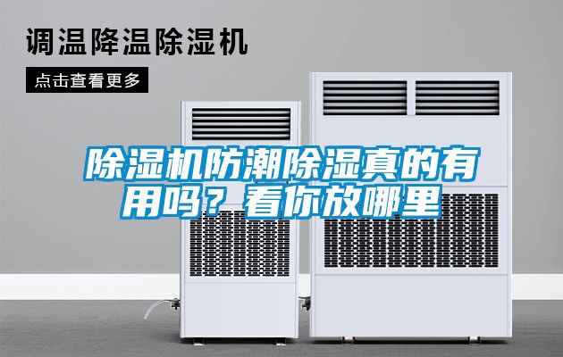 除濕機防潮除濕真的有用嗎？看你放哪里
