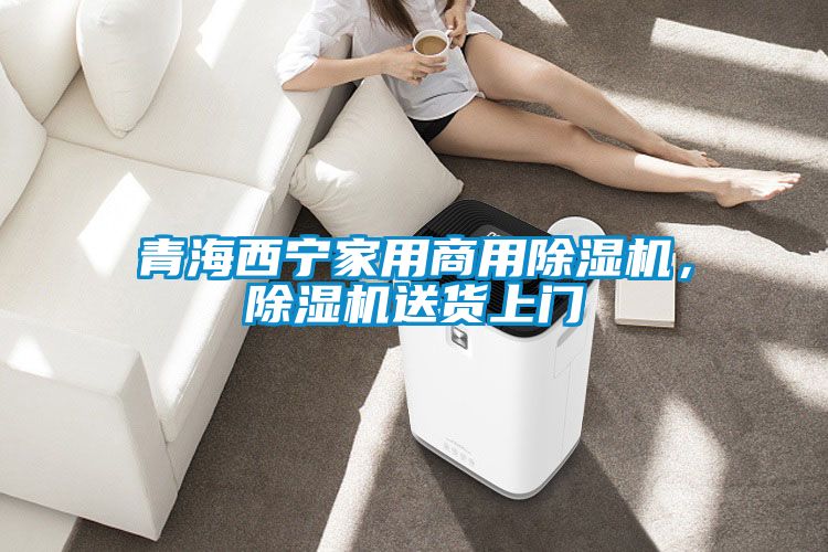 青海西寧家用商用除濕機，除濕機送貨上門