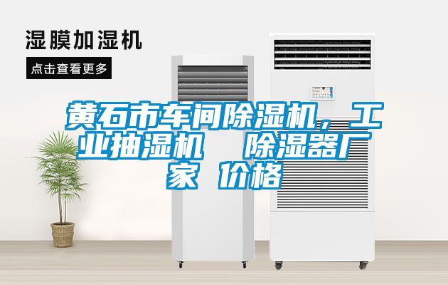 黃石市車間除濕機(jī)，工業(yè)抽濕機(jī)  除濕器廠家 價格