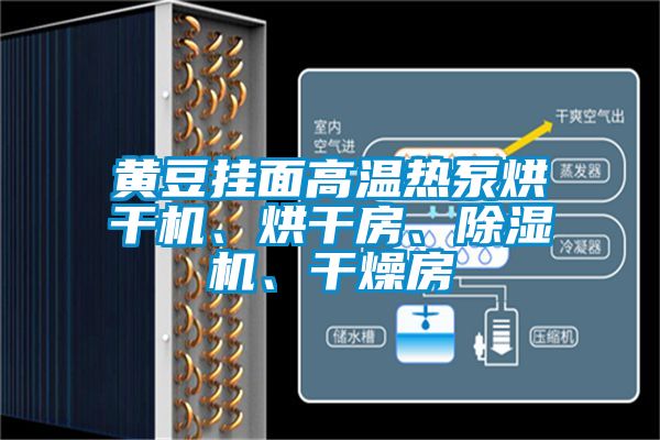 黃豆掛面高溫熱泵烘干機、烘干房、除濕機、干燥房