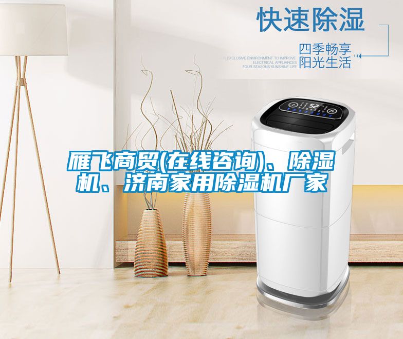雁飛商貿(mào)(在線咨詢(xún))、除濕機(jī)、濟(jì)南家用除濕機(jī)廠家